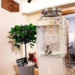 Roomie Alps Design Hostel Kitzbühel